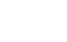 beedoo-logo-15