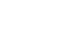 beedoo-logo-19